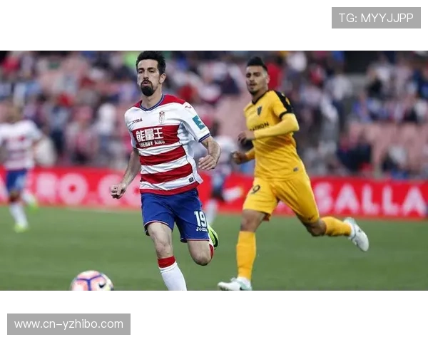 珀斯野猫VS伊拉瓦拉老鹰，主场防守对阵客场快节奏